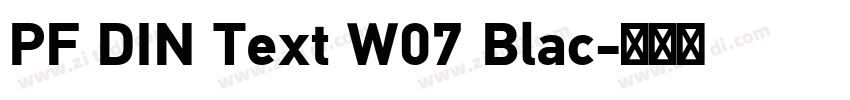 PF DIN Text W07 Blac字体转换